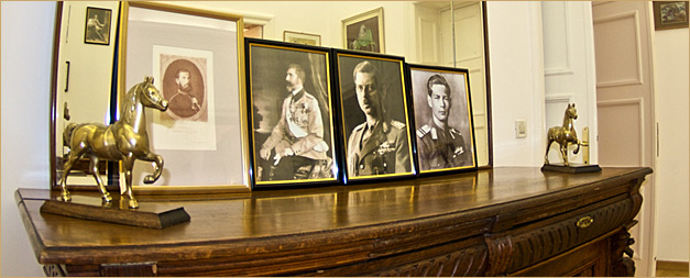 Element decorativ colț stânga jos